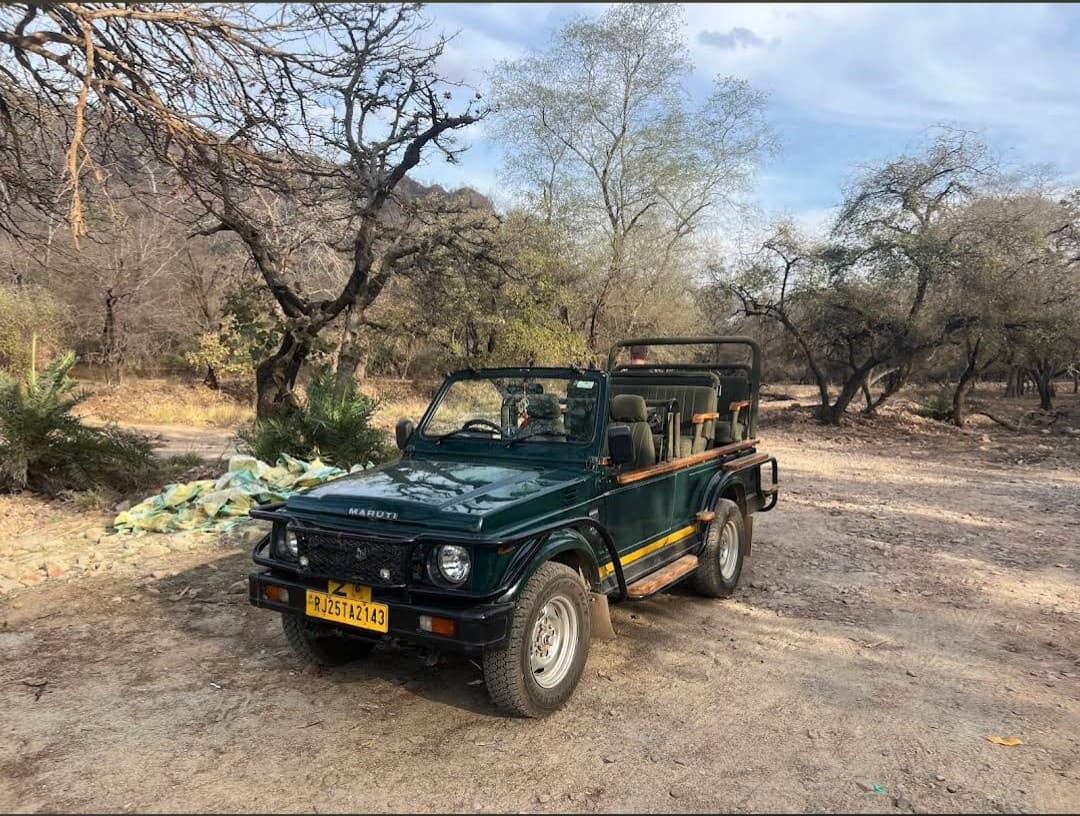 Ranthambore safari booking guide 2026 - jeep safari in the park